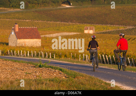 EIN PAAR RADFAHRER IN KABINEN WINZER DER WEINBERGE ENTLANG WEINBERG STRAßE "LOIRE VELO" CYCLING ROUTE SANCERRE CHER (18) FRANCE Stockfoto