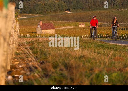 EIN PAAR RADFAHRER IN KABINEN WINZER DER WEINBERGE ENTLANG WEINBERG STRAßE "LOIRE VELO" CYCLING ROUTE SANCERRE CHER (18) FRANCE Stockfoto