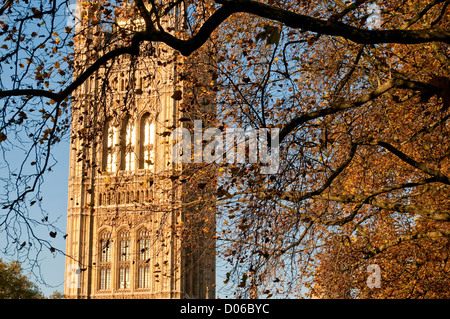 Victoria Tower mit Herbst Baum, Palace of Westminster, die Houses of Parliament, London, UK