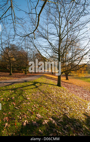 Herbst-Szene in Gadebridge Park, Hemel Hempstead, Hertfordshire, UK. Stockfoto