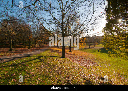 Herbst-Szene in Gadebridge Park, Hemel Hempstead, Hertfordshire, UK. Stockfoto