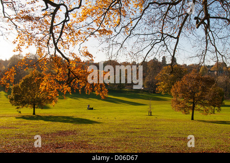 Herbst-Szene in Gadebridge Park, Hemel Hempstead, Hertfordshire, UK. Stockfoto