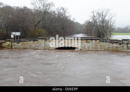 Lochlip Road, Lochwinnoch, Renfrewshire, Schottland, Großbritannien, Montag, 19th. November 2012. Die steinerne Straßenbrücke über den Fluss Calder nach starkem Regen. Für ein Beispiel, wie der Fluss normalerweise aussieht, siehe Alamy image Referenznummer D06FT3. Stockfoto