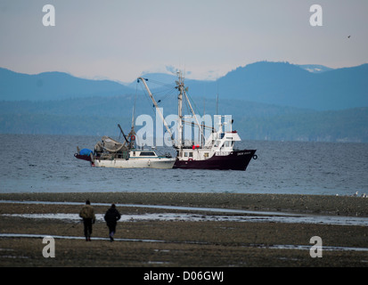 Hering Angeln Boot arbeiten schließen Küstenfischerei in Georgia Straight in Parksville, Vancouver Island, BC. Kanada.  SCO 8779 Stockfoto