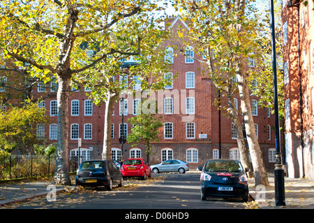 Rat, Gehäuse, Herrick Street, SW1, City of Westminster, London, UK Stockfoto