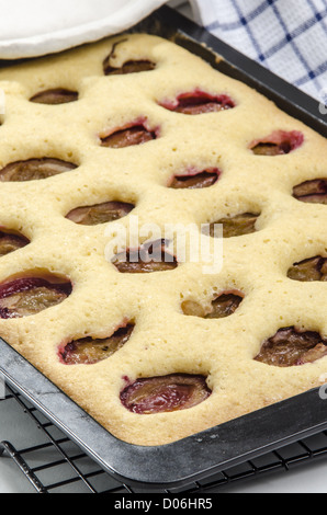 frisch gebackenen Pflaumenkuchen auf ein Backblech Stockfoto