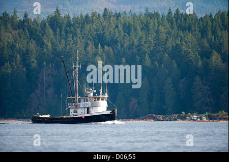 Hering Angeln Boot arbeiten schließen Küstenfischerei in Georgia Straight in Parksville, Vancouver Island, BC. Kanada.  SCO 8798 Stockfoto