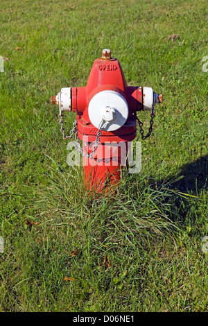 Red Fire Hydrant in einem Feld des Grases. Stockfoto