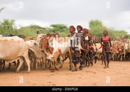 Afrika, Äthiopien, Omo River Valley Hamer Stamm das Springen der Bulls-Zeremonie. Frauen, die Schlange, das Vieh Stockfoto