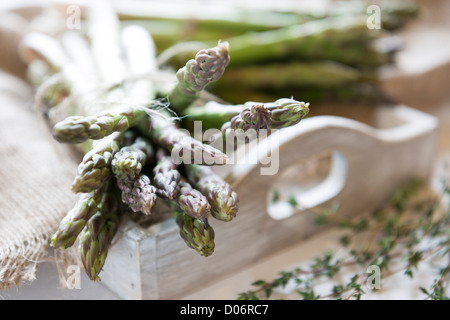 Frisch geernteter Spargel auf einem rustikalen Tablett Stockfoto