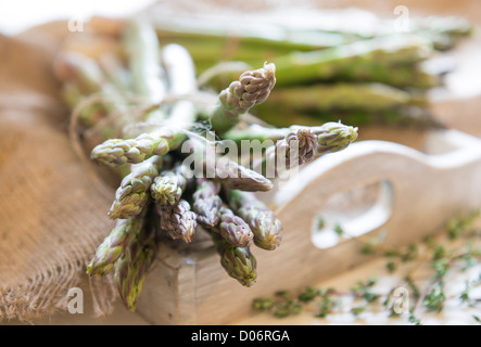 Frisch geernteter Spargel auf einem rustikalen Tablett Stockfoto