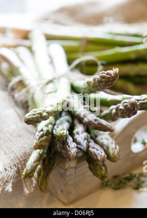 Frisch geernteter Spargel auf einem rustikalen Tablett Stockfoto