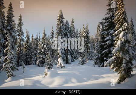 Skyline-See, in Washingtons Cascade Mountains, im Winter eingeschneit Stockfoto