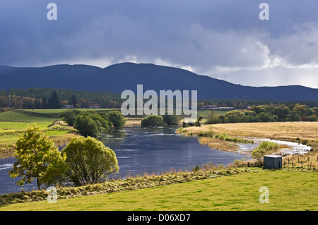 Der River Spey zwischen Boat of Garten und Grantown auf Spey in Schottland Highland ist über nach starken Regenfällen im Herbst fließt. Stockfoto