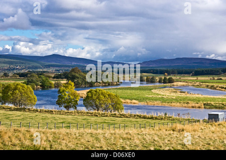 Der River Spey zwischen Boat of Garten und Grantown auf Spey in Schottland Highland ist über nach starken Regenfällen im Herbst fließt. Stockfoto