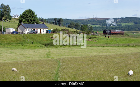 Erhalten ex-British Railways 2-6-4 t 80105 Tank Dampfmaschine zieht einen Zug nach Broomhill Station auf der Strathspey Railway Stockfoto