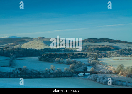 Der Tweed Valley von Manor Schwur in der Nähe von Peebles, Scottish Borders Stockfoto