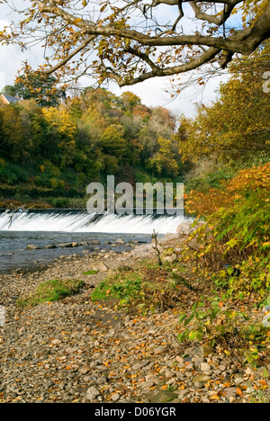 Fluß Taff Radyr Cardiff South Wales Großbritannien Stockfoto