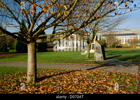 Herbst Farben und Wales National War Memorial, Alexandra Gardens, Cathays Park, Cardiff, Wales, UK. Stockfoto