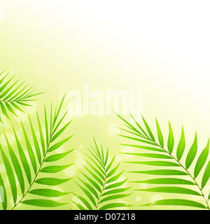 Bild von Palm Blätter Hintergrund, abstrakte florale Grenze, wunderschöne tropische Pflanze, exotische Baum frisches Laub, Sommerurlaub Stockfoto