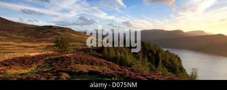 Sonnenuntergang über den Gipfel des Walla Felsen fiel, Keswick, Nationalpark Lake District, Cumbria County, England, UK. Stockfoto