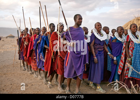 Eine Gruppe von Maasai-Männer und Frauen, die einen Tanz in Tansania; Ost-Afrika; Afrikas; Authentische Kulturdorf im Olpopongi; Maasai Stockfoto