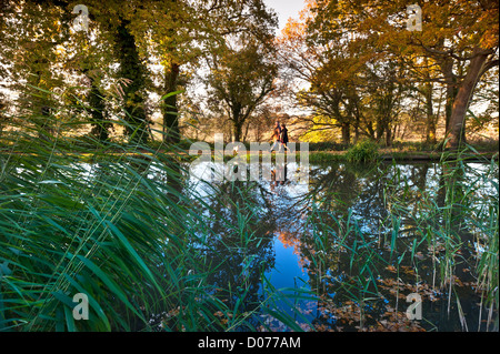 Fluss Wey im Herbst mit paar Spaziergang mit ihrem Hund auf dem Treidelpfad in späten Nachmittagssonne Surrey UK Stockfoto