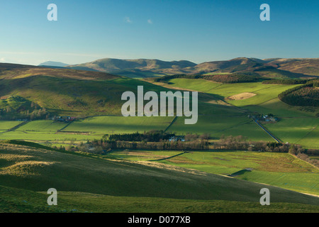 Broughton Hügel von Cademuir Hügel in der Nähe von Peebles, Scottish Borders Stockfoto