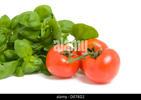 frischem Basilikum Pflanze und Tomaten isoliert auf weißem Hintergrund Stockfoto