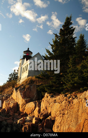 Bass Harbor Head Leuchtturm im späten Nachmittag, Bass Harbor, Mount Desert Island, Maine, USA Stockfoto