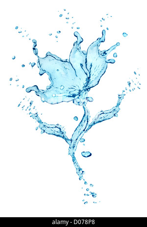 Blume Wasser spritzt isolierten auf weißen Hintergrund Stockfoto