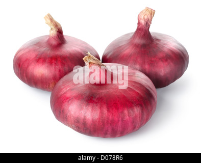 Drei rote Zwiebeln isoliert auf weißem Hintergrund Stockfoto