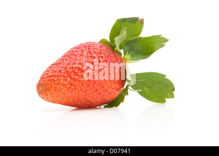 Eine frische Erdbeere isoliert auf weißem Hintergrund Stockfoto