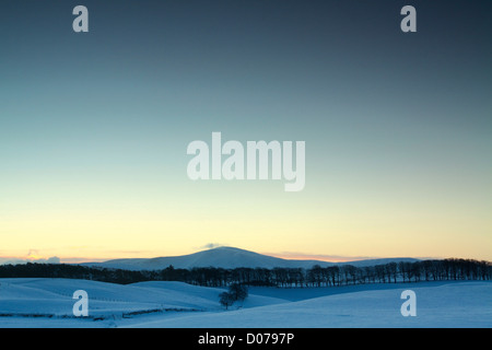 Tinto Hill aus der buchen, Lanark, South Lanarkshire Stockfoto