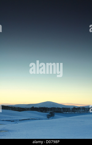 Tinto Hill aus der buchen, Lanark, South Lanarkshire Stockfoto