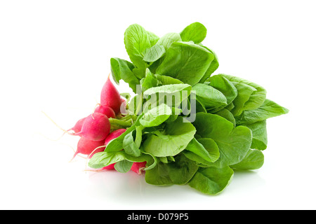 Handvoll frische Radieschen isoliert auf weißem Hintergrund Stockfoto