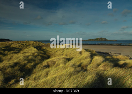 Fidra Leuchtturm in der Nähe von Yellowcraigs, East Lothian Stockfoto