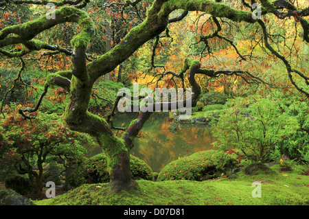 Portland Japanese Garden im Frühherbst: Portland Japanese Garden, Portland, Oregon, USA Stockfoto