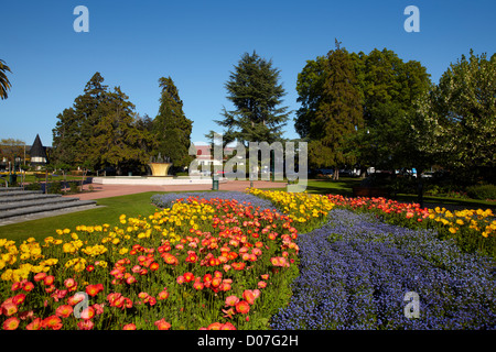 Blühende Gärten, Seymour Square, Blenheim, Marlborough, Südinsel, Neuseeland Stockfoto