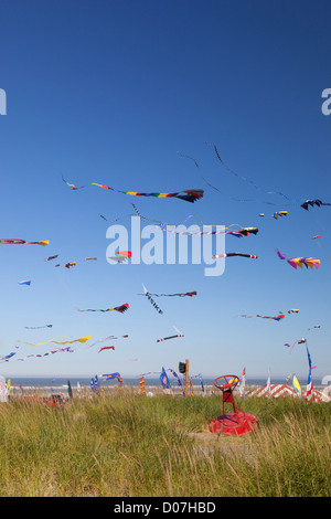 WA, Long Beach, internationalen Drachenfestival, bunte Drachen Stockfoto