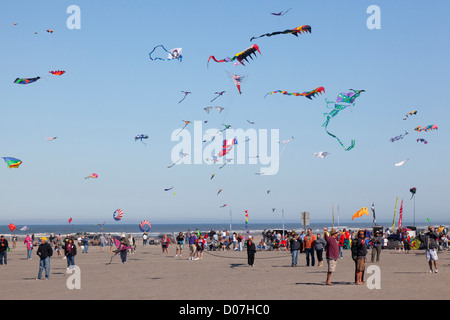 WA, Long Beach, internationalen Drachenfestival, bunte Drachen Stockfoto