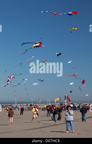 WA, Long Beach, internationalen Drachenfestival, bunte Drachen Stockfoto