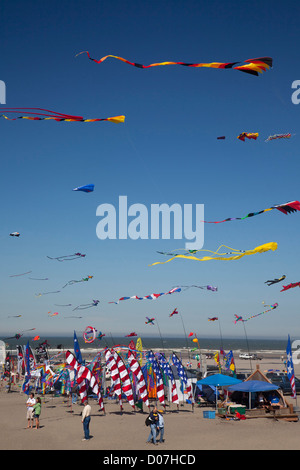 WA, Long Beach, internationalen Drachenfestival, bunte Drachen und Banner Stockfoto