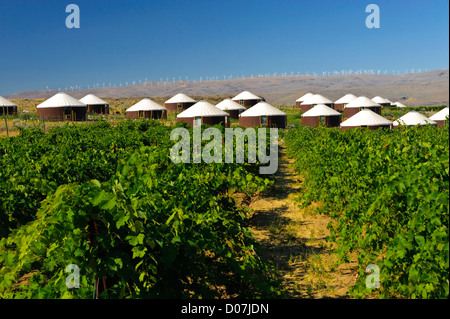 USA, Washington, Columbia Valley. Höhle B Estate Winery bietet Jurten für Übernachtungen in seinen Weinberg. Stockfoto