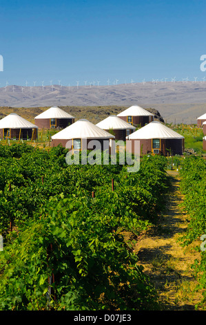 USA, Washington, Columbia Valley. Höhle B Estate Winery bietet Jurten für Übernachtungen in seinen Weinberg. Stockfoto