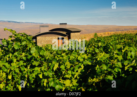 USA, Washington, Columbia Valley. Höhle B Estate Winery ist ein preisgekröntes Boutique-Weingut Stockfoto