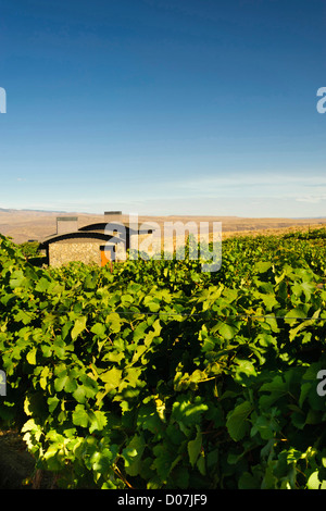 USA, Washington, Columbia Valley. Höhle B Estate Winery ist ein preisgekröntes Boutique-Weingut Stockfoto