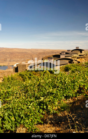 USA, Washington, Columbia Valley. Höhle B Estate Winery ist ein preisgekröntes Boutique-Weingut Stockfoto