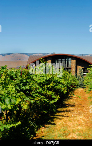 USA, Washington, Columbia Valley. Höhle B Estate Winery ist ein preisgekröntes Boutique-Weingut Stockfoto