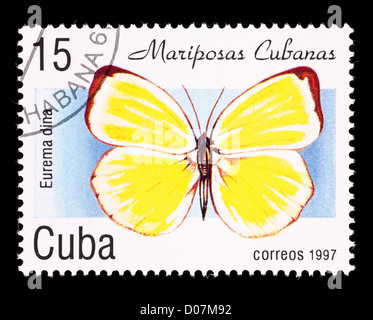 Briefmarke aus Kuba, die Darstellung eines nativen Schmetterlings (Eurema Dina) Stockfoto